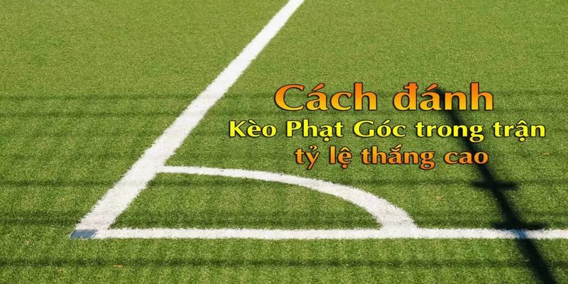 Cách chơi kèo thắng đậm cho người mới