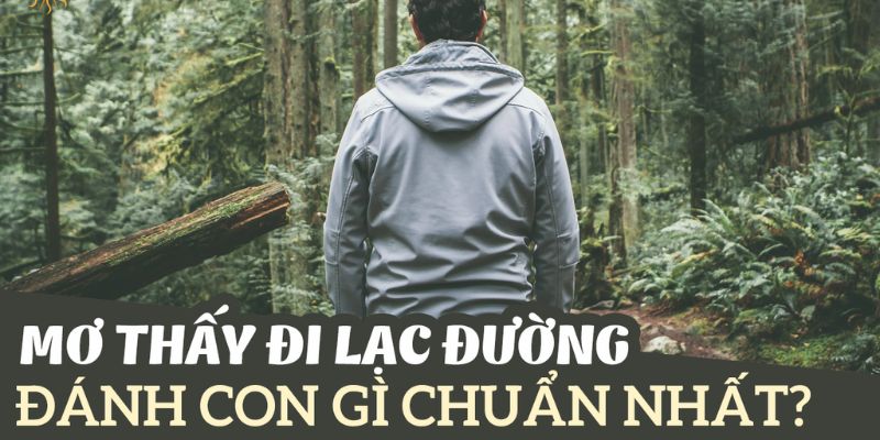 Giải mã giấc mơ đi lạc đường vào trong công viên