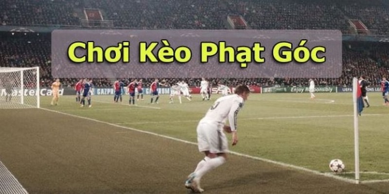 Kinh nghiệm chơi kèo phạt góc giúp bạn mau vào bờ