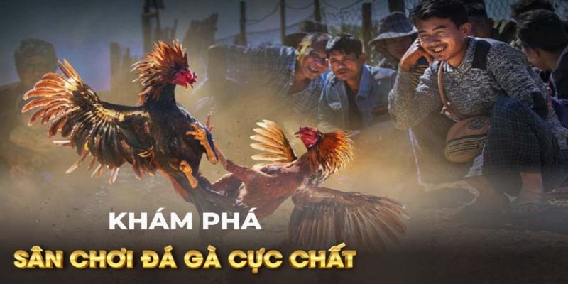 NEW88 có dàn bình luận viên chuyên nghiệp