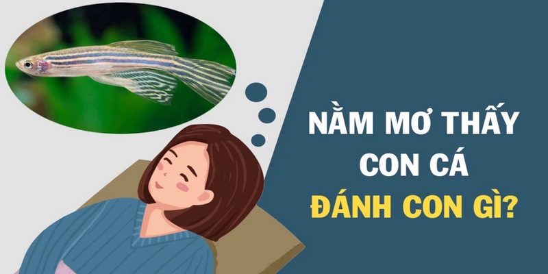 Nằm mơ thấy cá vàng có phải đại cát đại lợi?